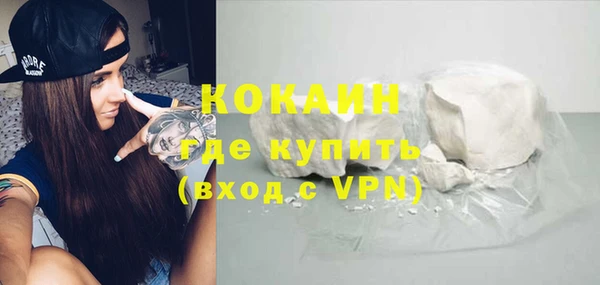 гидра Володарск